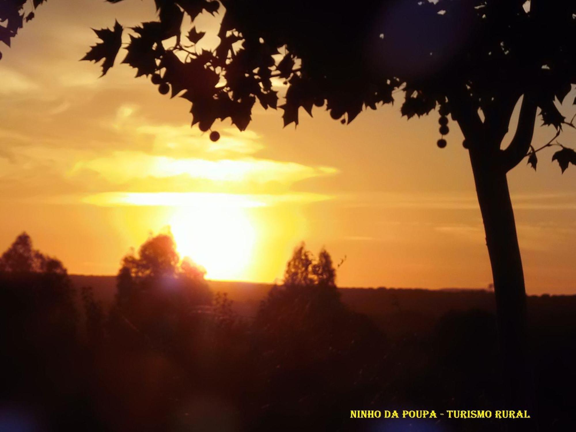 Ninho Da Poupa Guest House Серпа Екстериор снимка